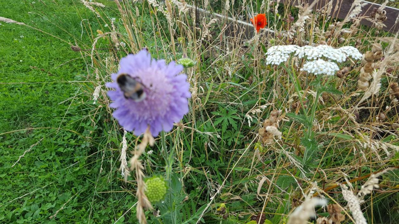 Wester Blackpark Farm Inverness Buitenkant foto
